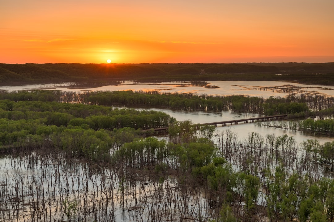 Getting a Passport in Sumner, MS: Step-by-Step Guide