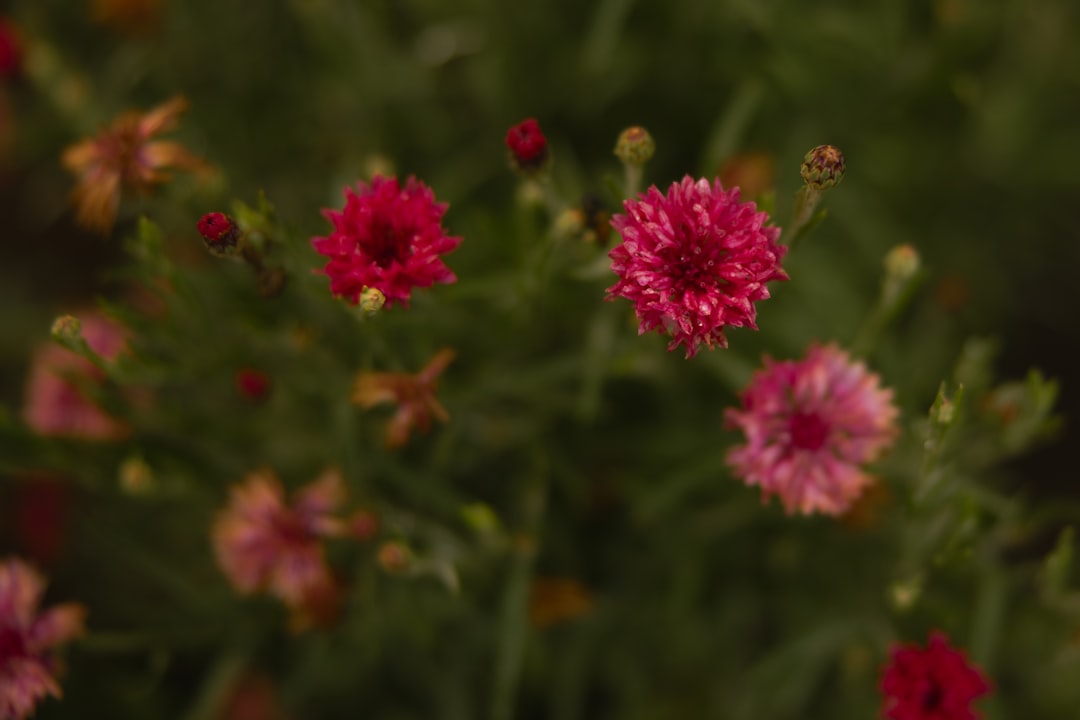 Getting a Passport in Sutherlin, OR: Step-by-Step Guide