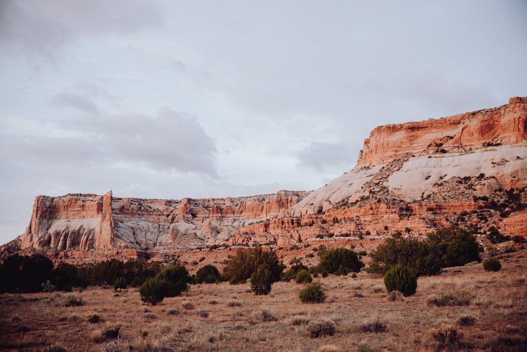 Getting a Passport in Tajique, NM: First-Time, Renewal Guide