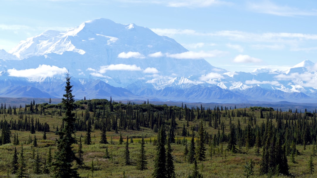 Getting a Passport in Tanacross, AK: Step-by-Step Guide