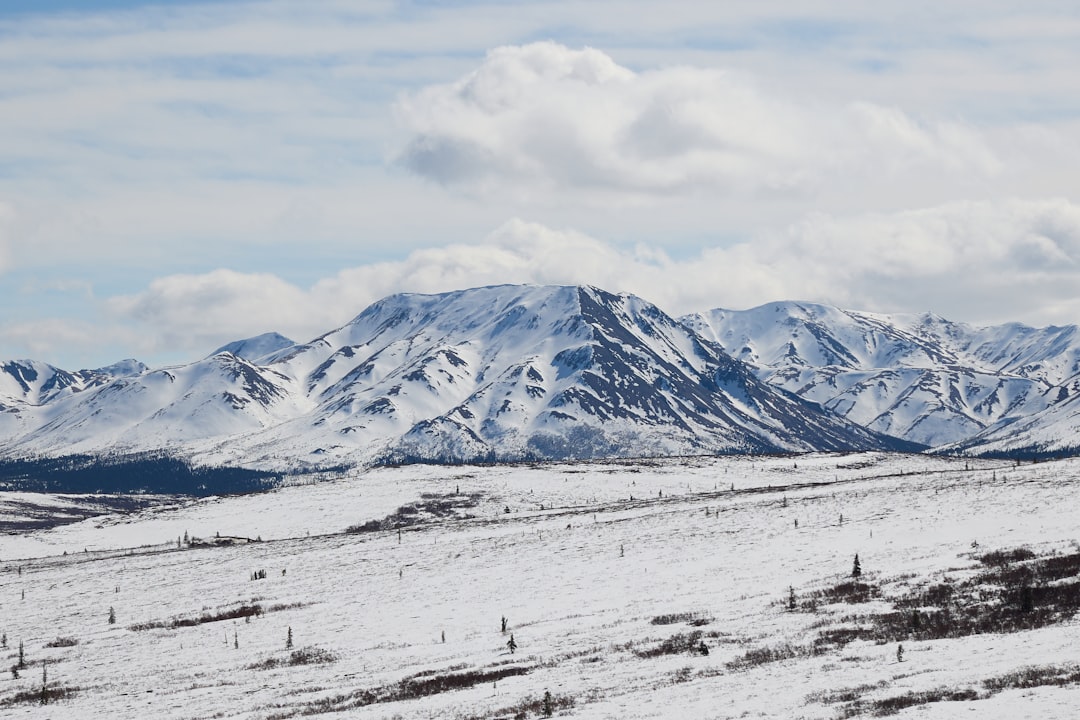 Getting a Passport in Tazlina, AK: Remote Resident Guide