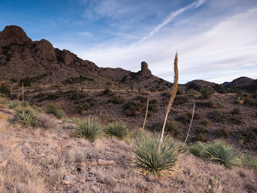 Getting a Passport in Tesuque Pueblo, NM: Facilities & Steps