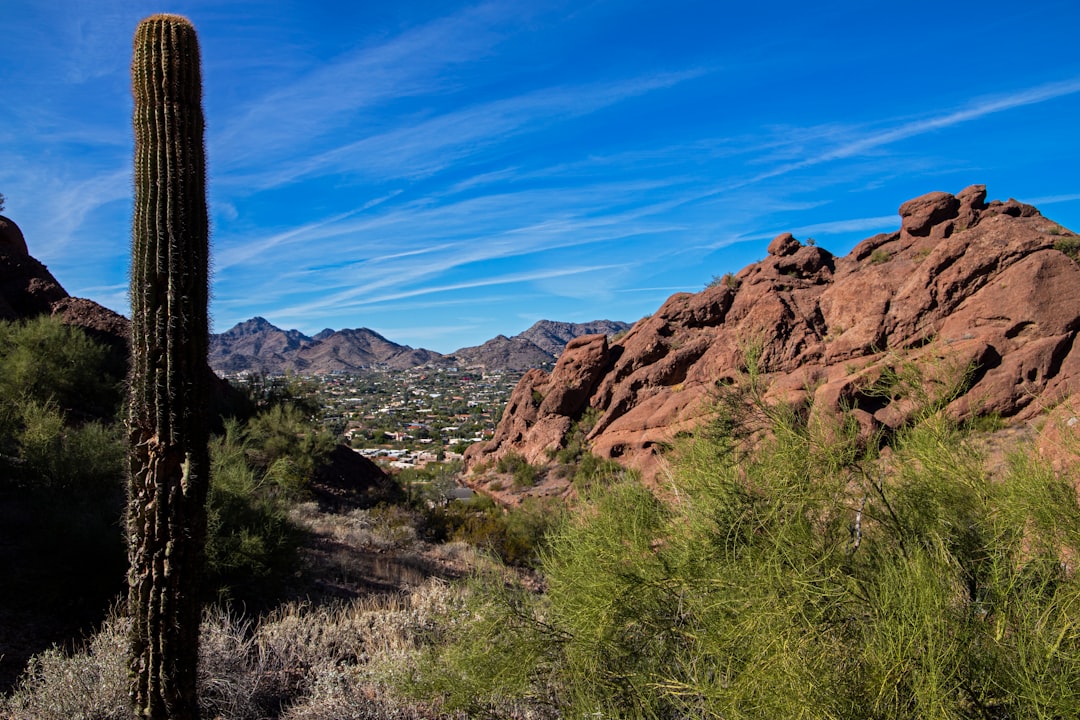 Getting a Passport in Tolani Lake, AZ: Facilities & Steps