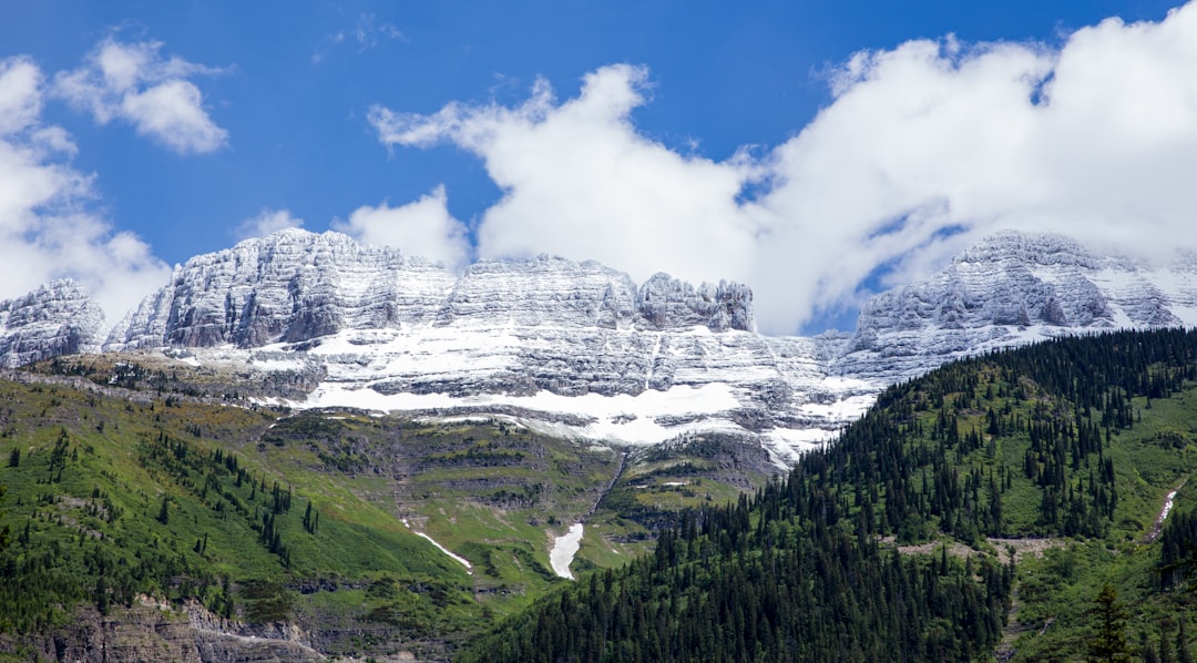 Getting a Passport in Toston, MT: Your Step-by-Step Guide