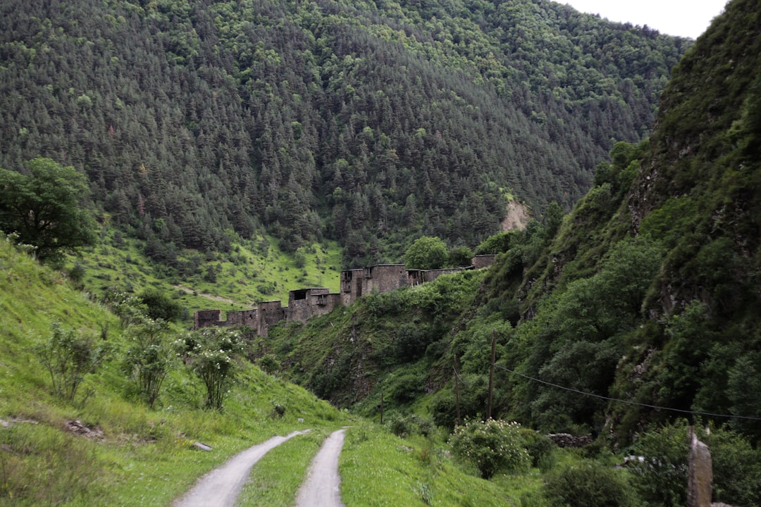 Getting a Passport in Trion, GA: Steps & Nearby Facilities