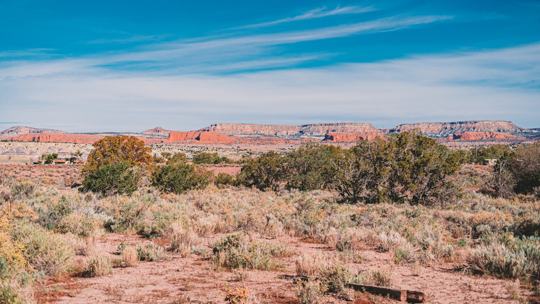 Getting a Passport in University Park, NM: Step-by-Step Guide
