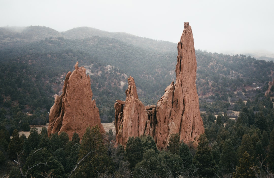 Getting a Passport in Upper Bear Creek, CO: Facilities & Tips