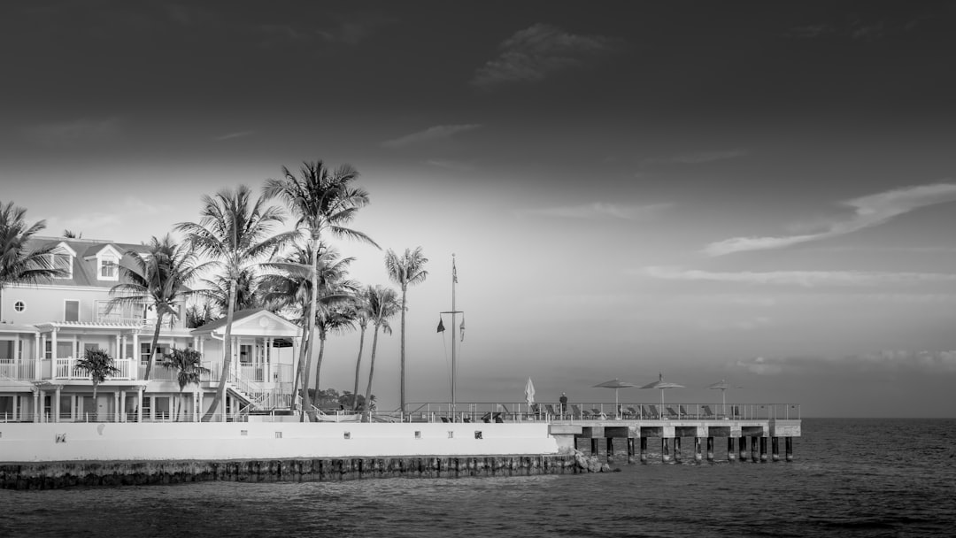 Getting a Passport in Vamo, Florida: Step-by-Step Guide