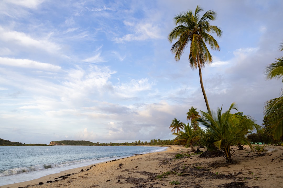 Getting a Passport in Vayas, Ponce, PR: Full Guide