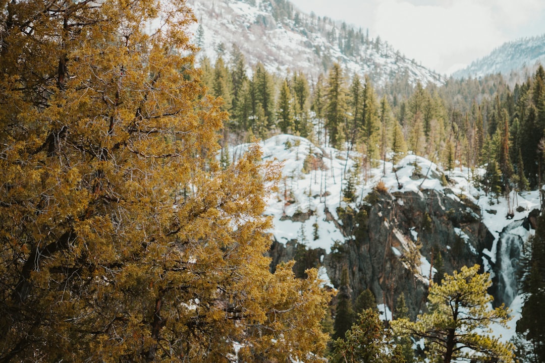 Getting a Passport in Vilas, CO: Baca County Facilities Guide