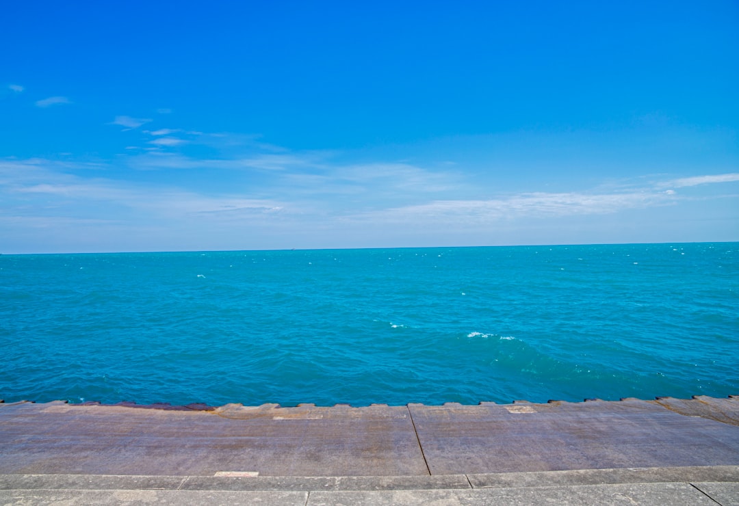 Getting a Passport in Wacousta MI: Forms, Facilities, Tips