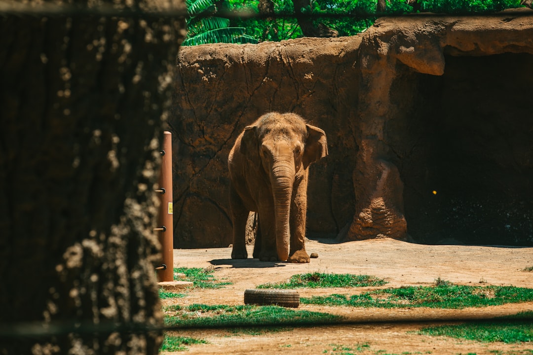 Getting a Passport in Waialua, HI: Guide to Forms & Facilities