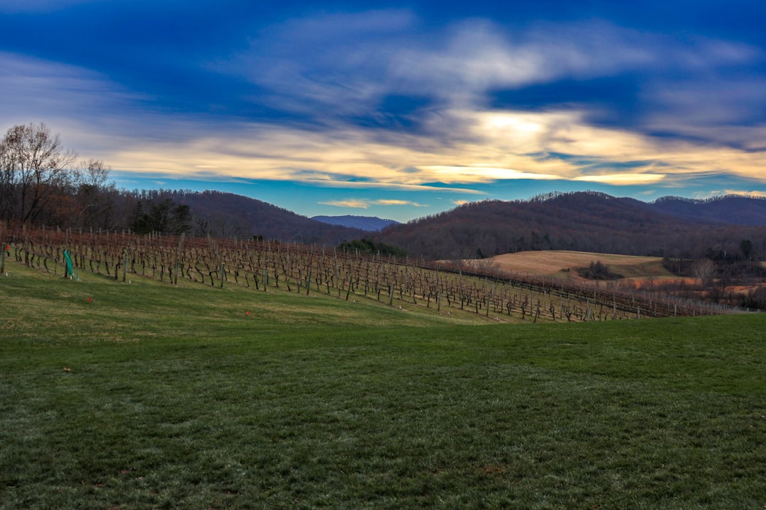 Getting a Passport in Warfield, VA: Facilities & Steps