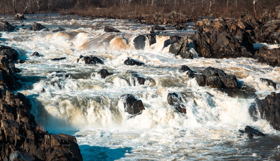 Getting a Passport in Washington, VA: Local Guide & Steps