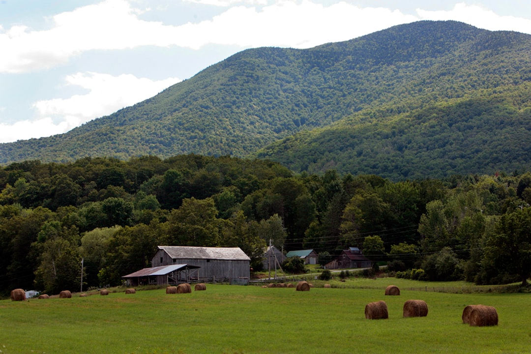 Getting a Passport in Waterbury Center, VT: Step-by-Step Guide