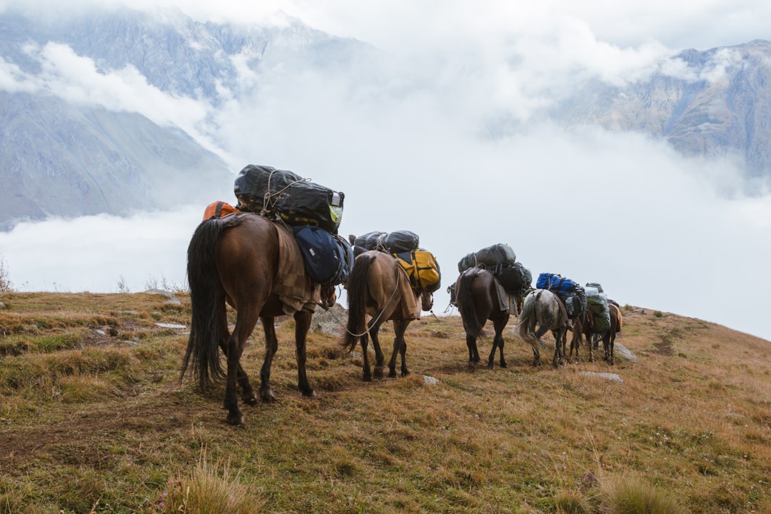 Getting a Passport in Waverly Hall, GA: Facilities and Steps