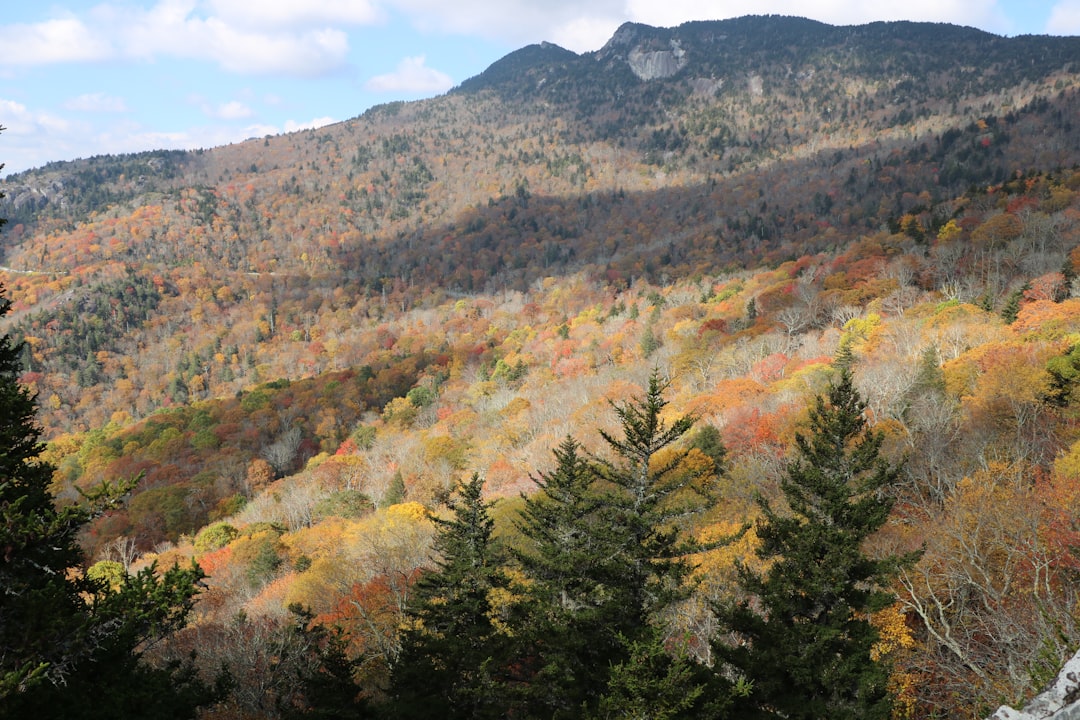 Getting a Passport in Webster, NC: Complete Local Guide