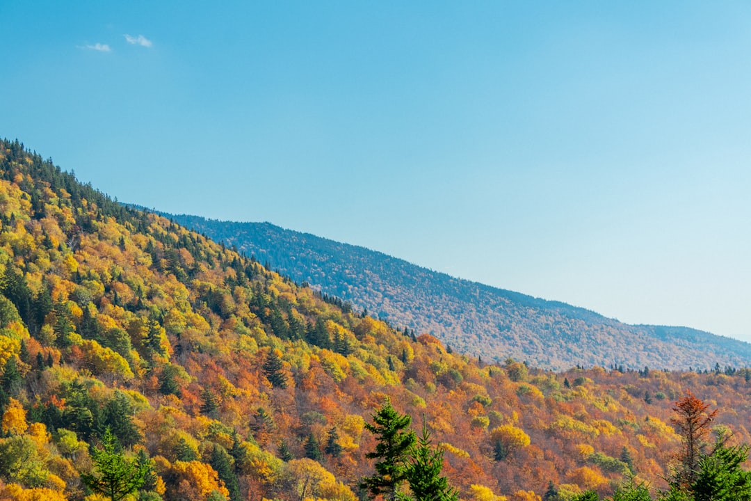 Getting a Passport in West Charlotte, VT: Step-by-Step Guide