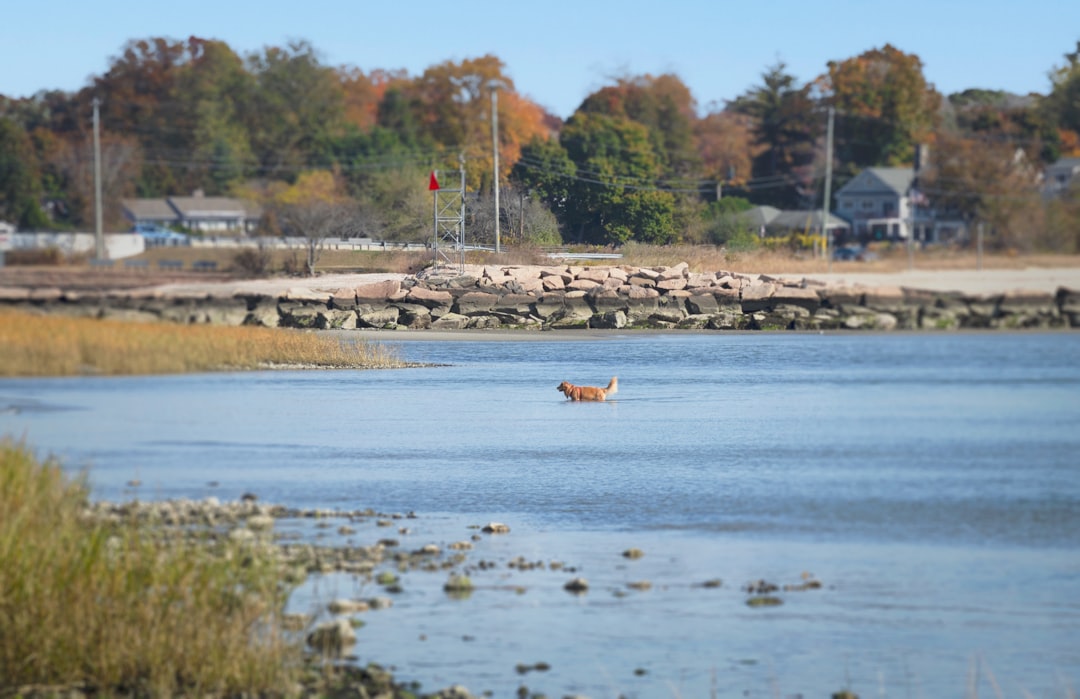Getting a Passport in West Cornwall, CT: Step-by-Step Guide
