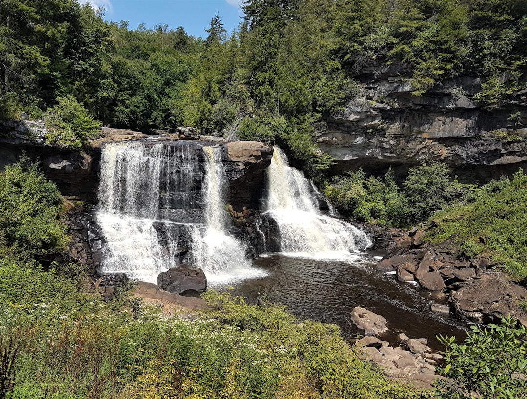 Getting a Passport in West Logan, WV: Step-by-Step Guide