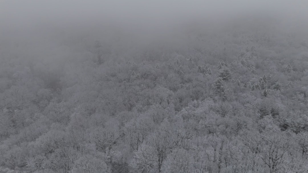 Getting a Passport in Weston, CT: Facilities, Forms & Steps