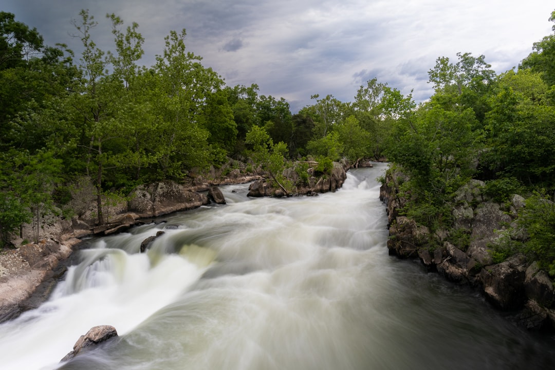 Getting a Passport in Weyers Cave, VA: Steps & Local Facilities