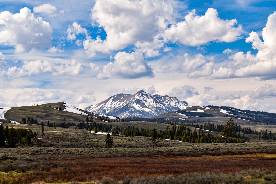 Getting a Passport in White Haven, MT: Steps & Facilities