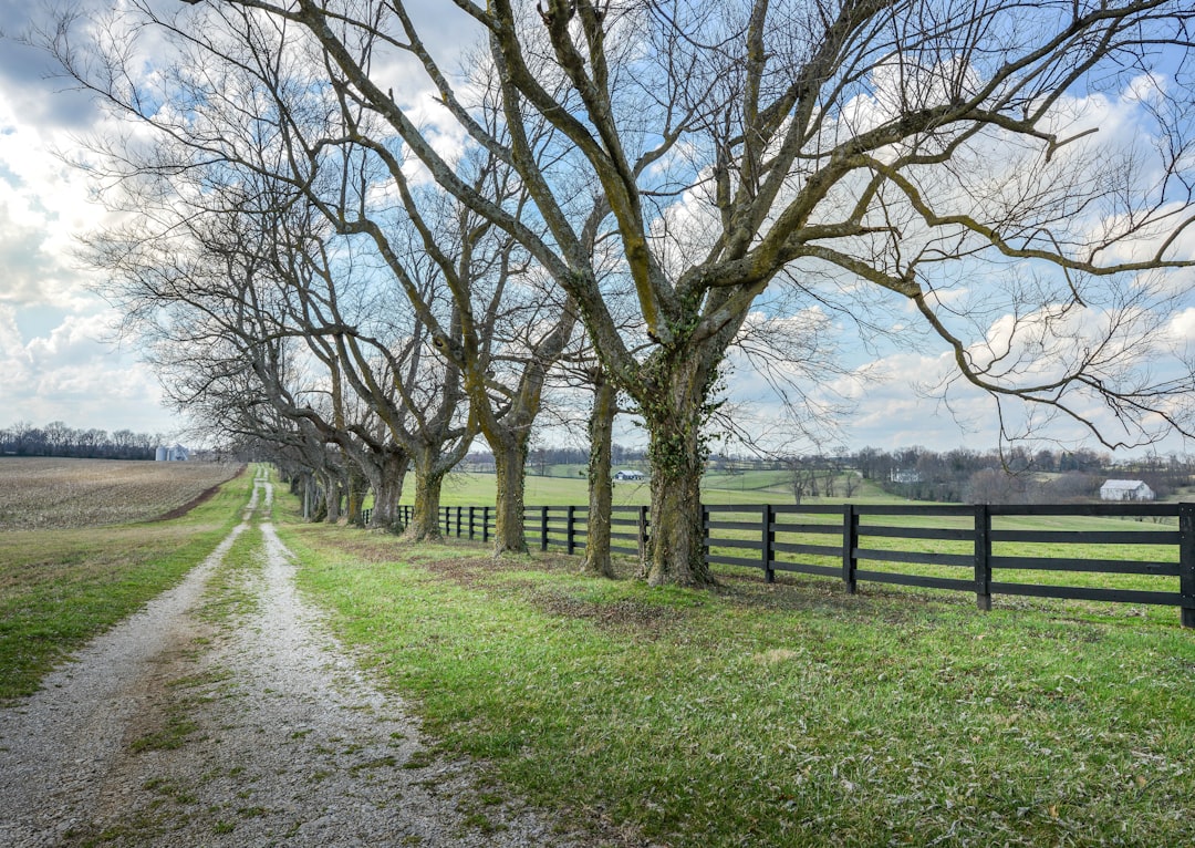 Getting a Passport in Wildwood, KY: Step-by-Step Guide