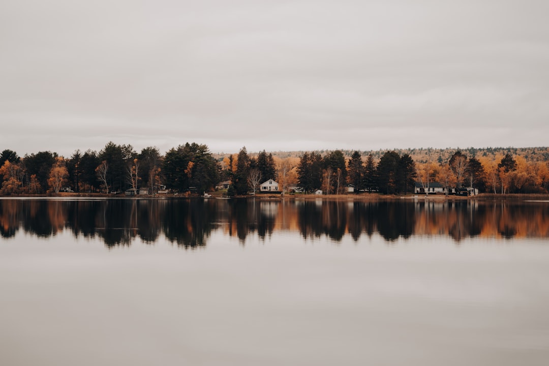 Getting a Passport in Wilton, MN: Docs, Facilities, Local Tips