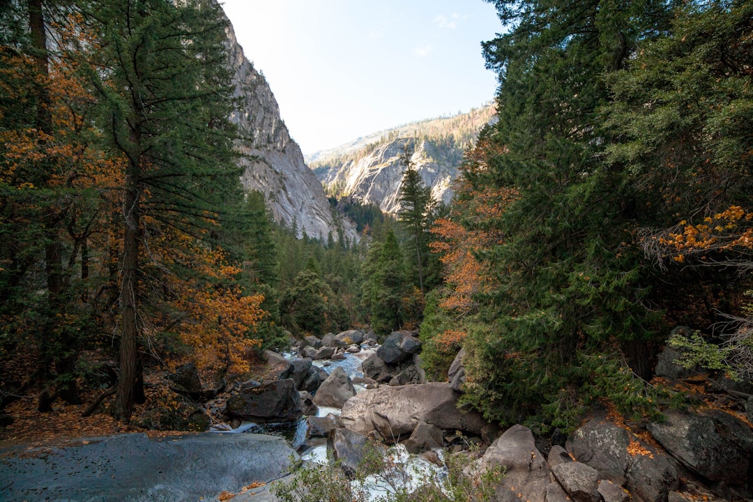 Getting a Passport in Windsor, CA: Step-by-Step Guide