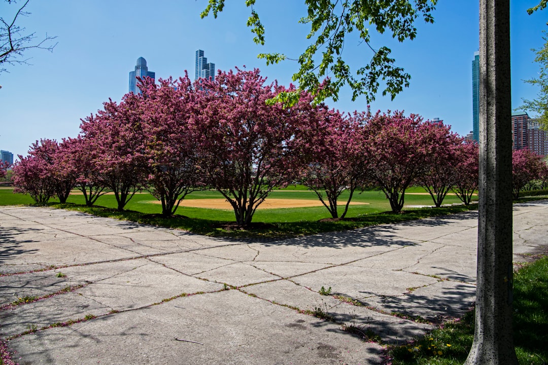 Getting a Passport in Winslow, IL: First-Time, Renewal Guide