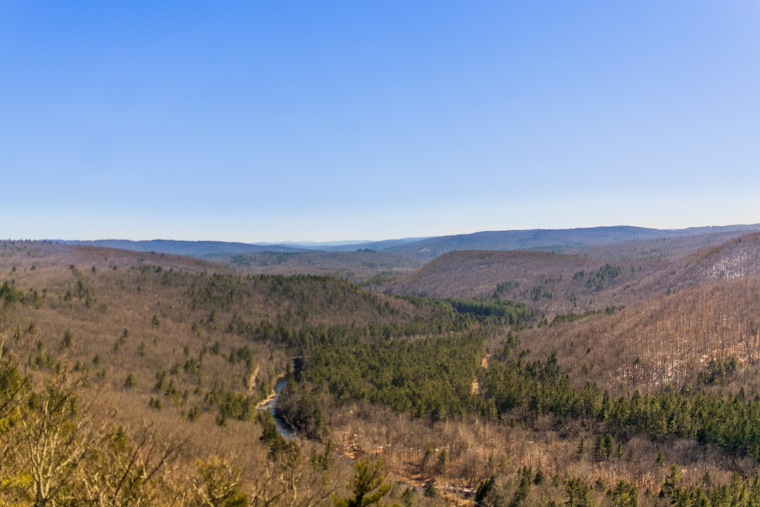 Getting a Passport in Witches Woods, CT: Complete Guide
