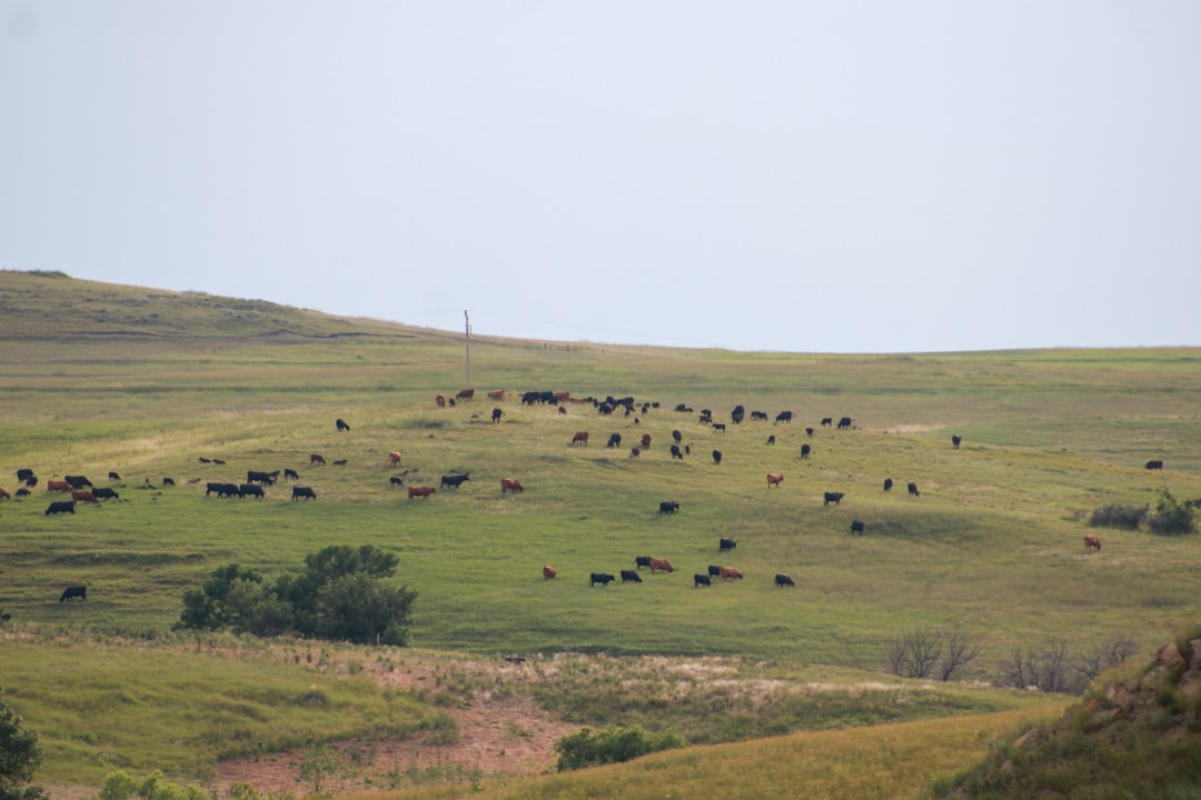 Getting a Passport in Wood, SD: Facilities, Steps & Tips