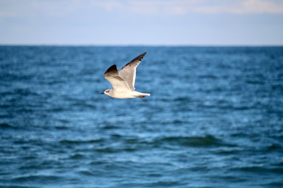 Getting a Passport in Woodside East, DE: Step-by-Step Guide