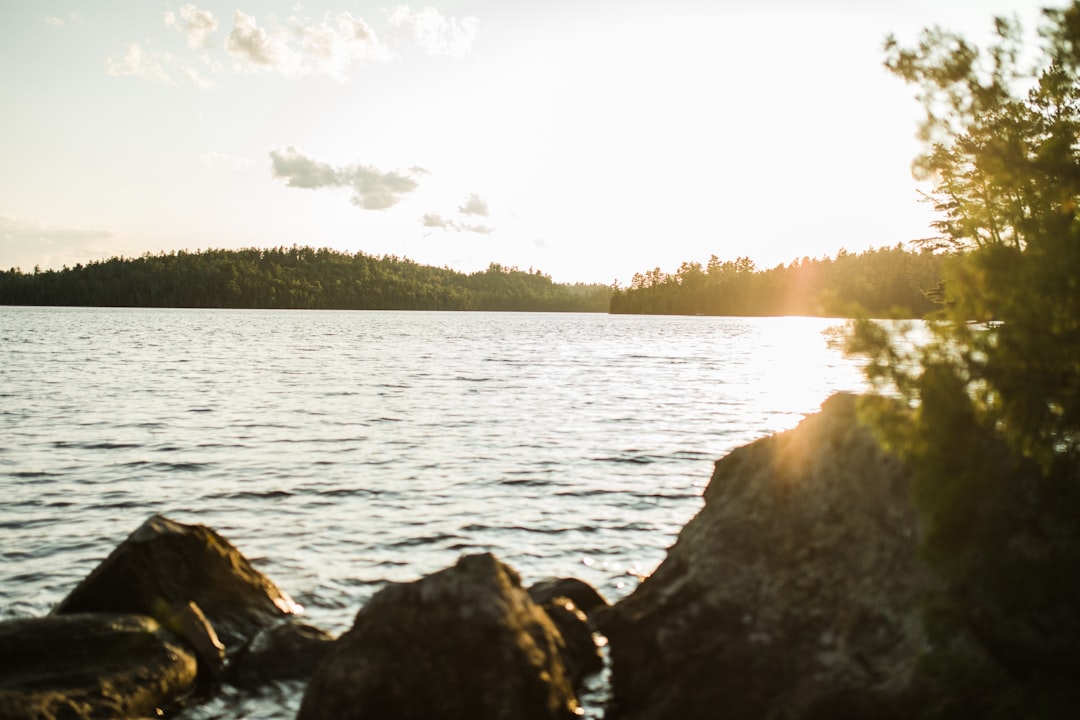 Getting a Passport in Wykoff, MN: Local Facilities & Steps