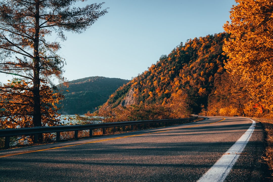 Getting a Passport in Wynnburg, TN: DS-11 & DS-82 Guide