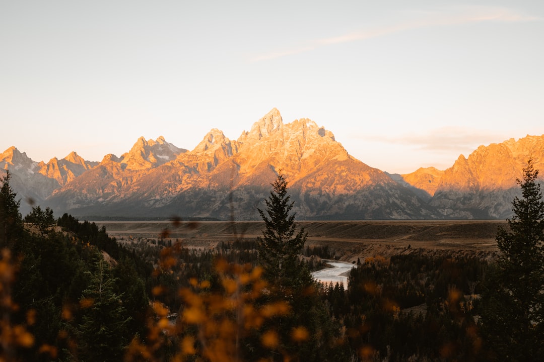 Getting a Passport in Y-O Ranch, WY: Steps, Facilities, Tips
