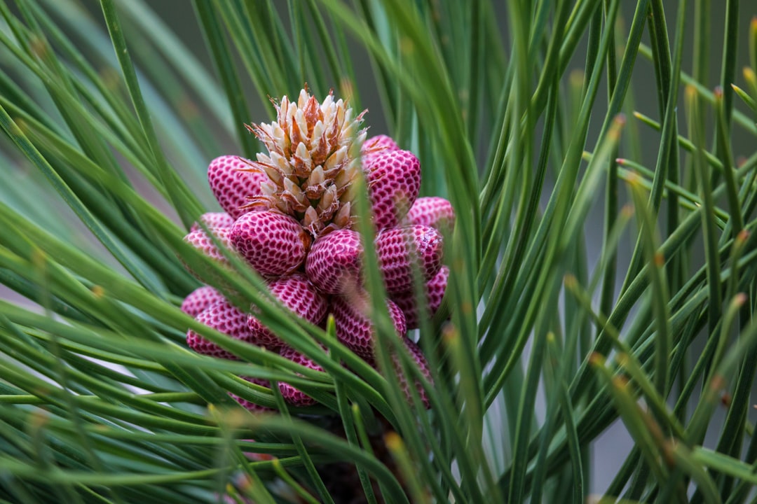 Getting a Passport in Yankton SD: First-Time, Renewal Guide