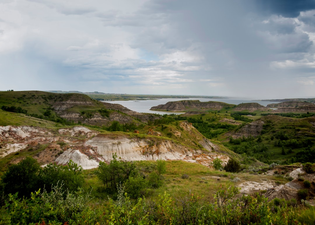Getting a Passport in York, ND: Steps, Facilities, Renewals