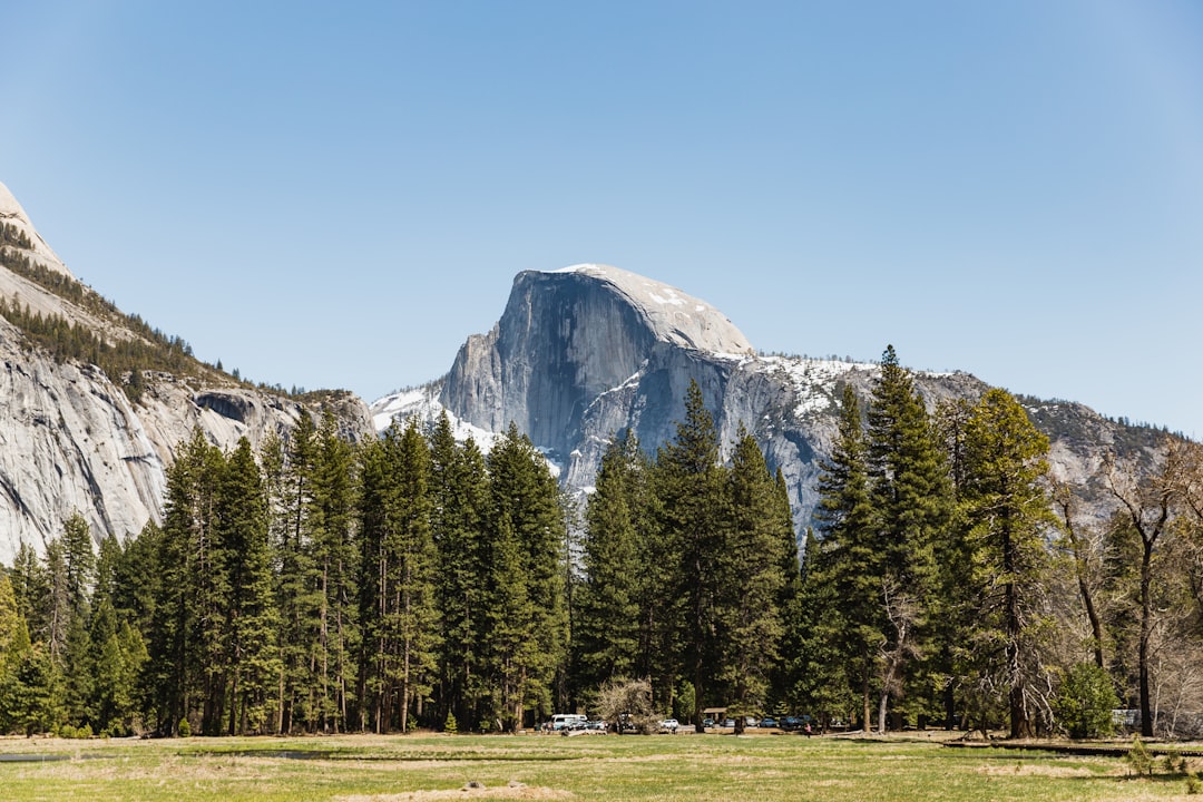 Getting a Passport in Zayante, CA: Step-by-Step Local Guide