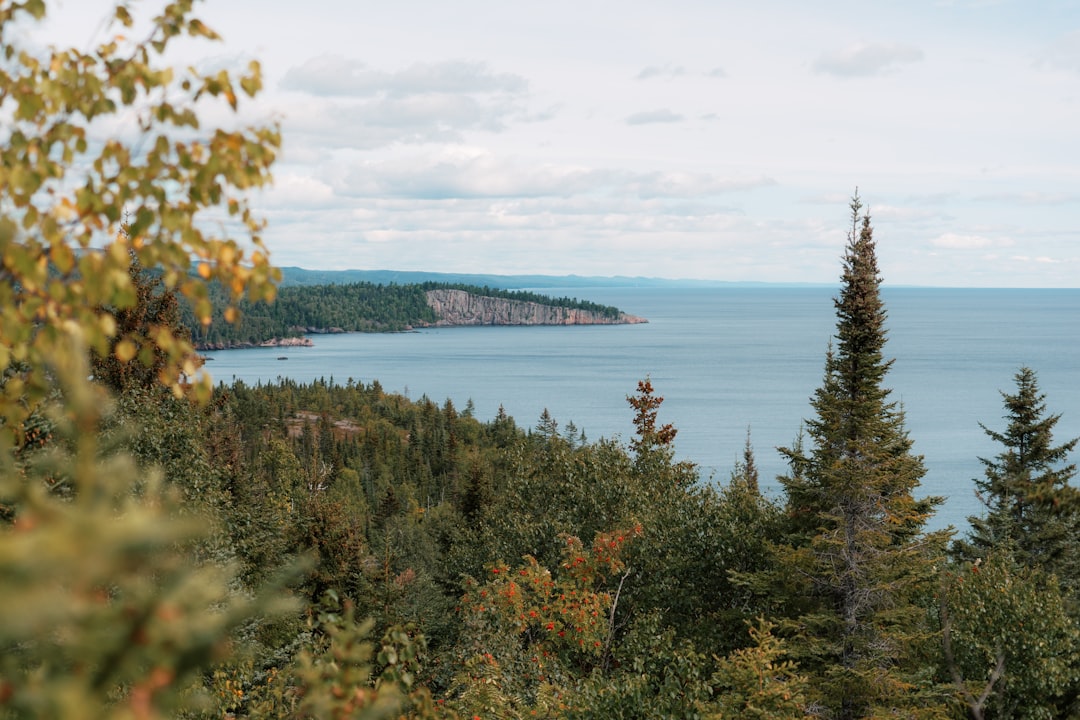 Getting a Passport in Zumbro Falls, MN: Step-by-Step Guide
