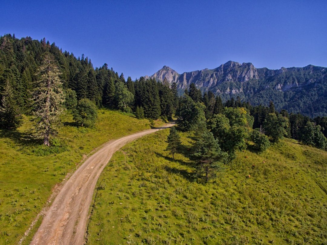 Getting a U.S. Passport in Byron, GA: Step-by-Step Guide