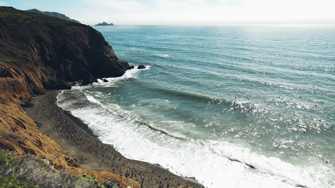 Getting a U.S. Passport in El Cajon, CA: Step-by-Step Guide