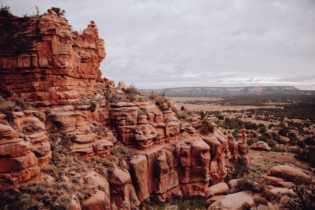 Getting a U.S. Passport in Floyd, NM: Steps, Facilities & Tips