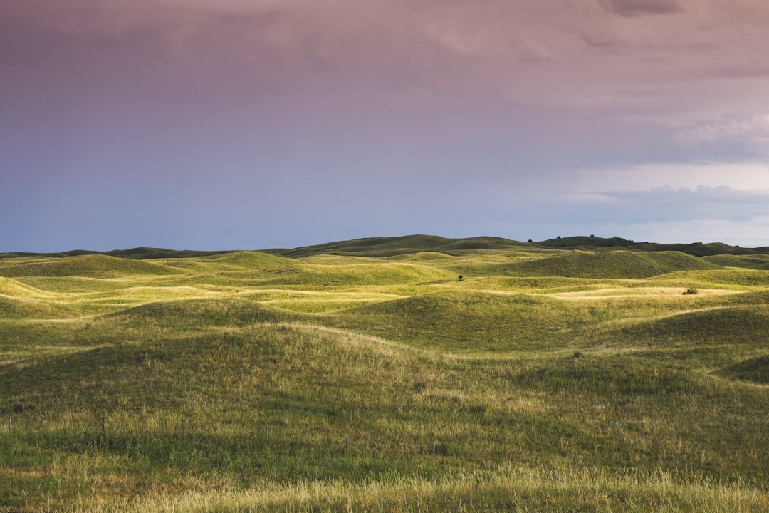 Getting a U.S. Passport in Hamlet, NE: DS-11, Renewals Guide