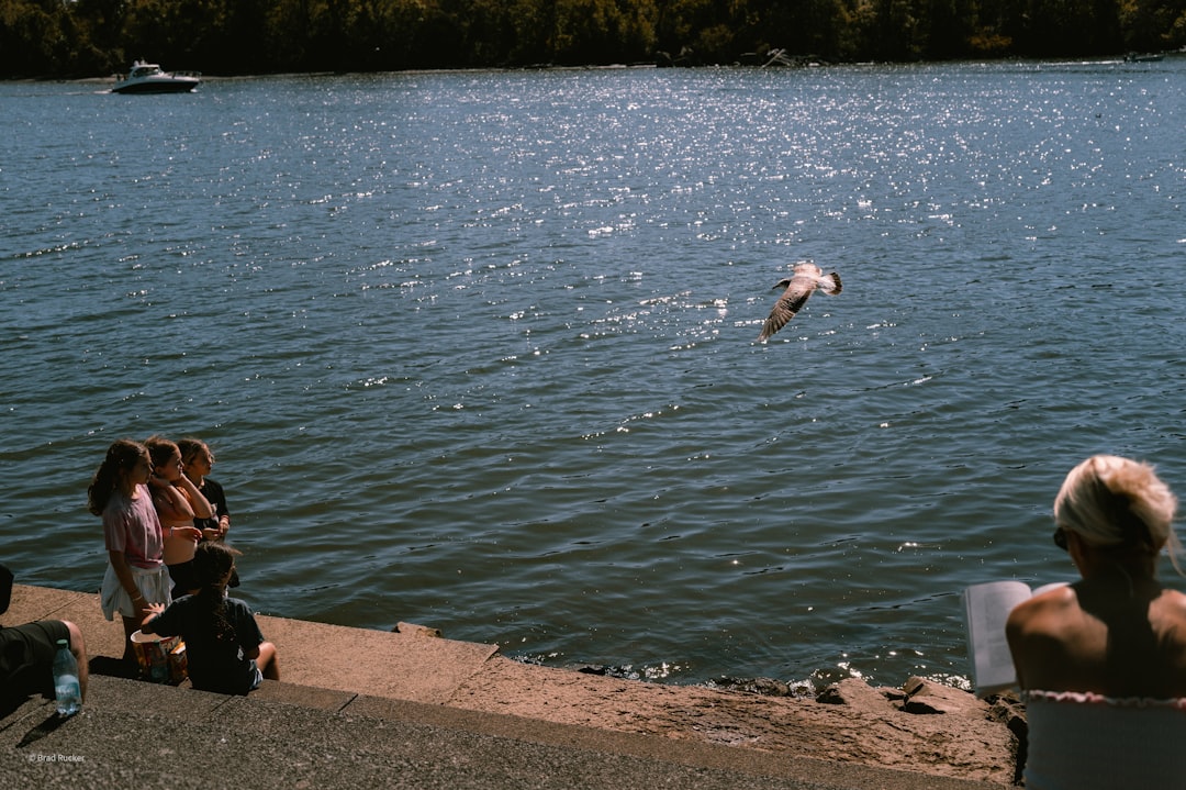 Getting a U.S. Passport in Kent, WA: Apply, Renew, Replace