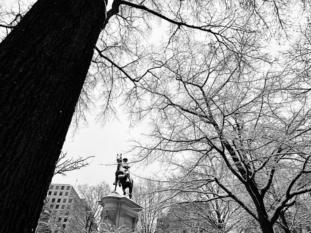 Getting a U.S. Passport in Maltby, WA: Step-by-Step Guide