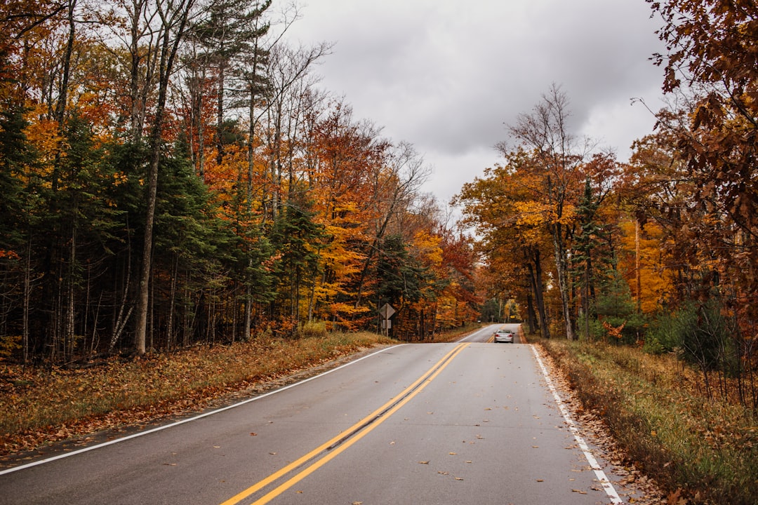 Getting a U.S. Passport in Marengo, WI: Step-by-Step Guide