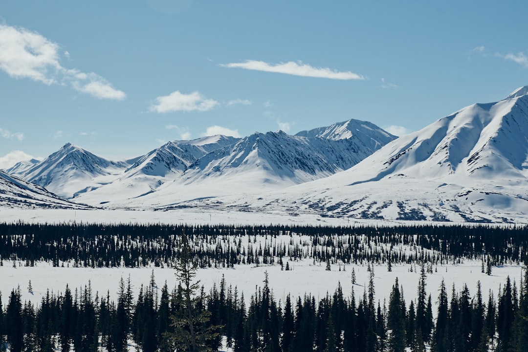 Getting a U.S. Passport in Mentasta Lake, AK: Complete Guide