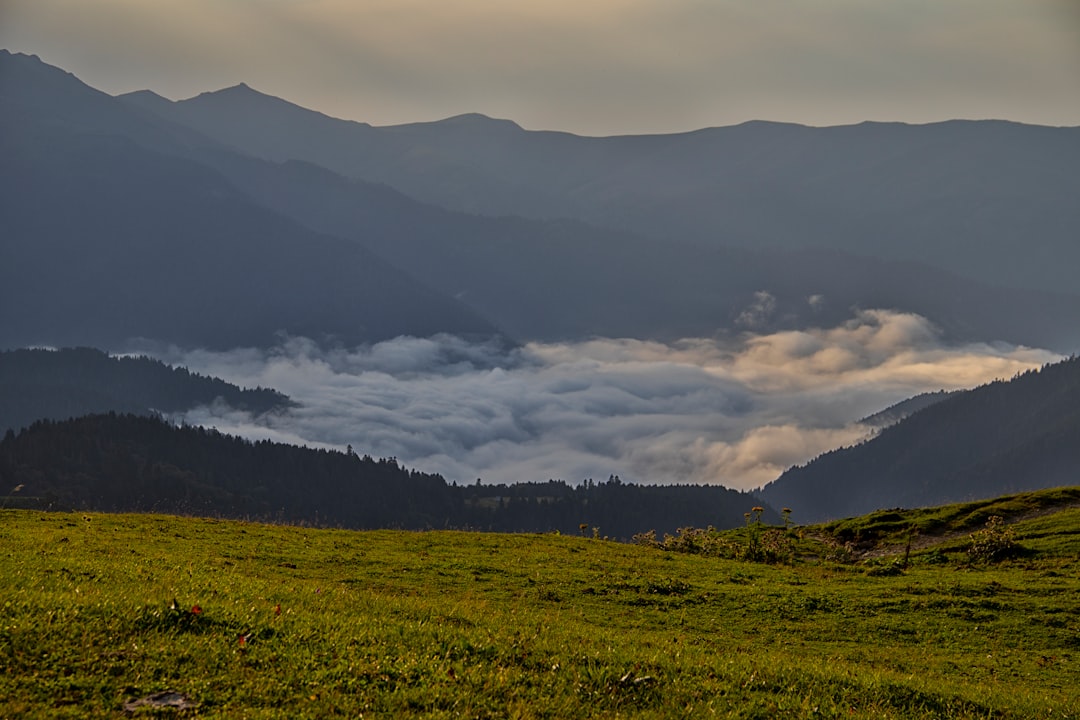 Getting a U.S. Passport in Rincon, GA: Step-by-Step Local Guide